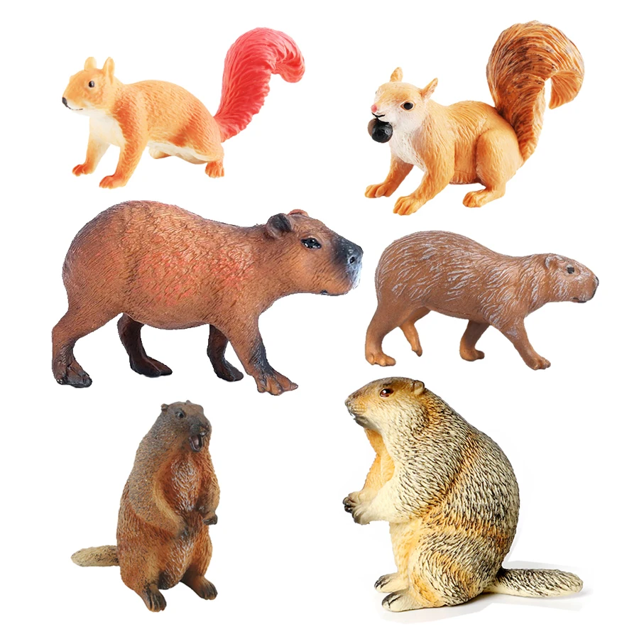 Kids Toys Reviews - Capibara Capybaras 다람쥐 Marmot 플라스틱 동물